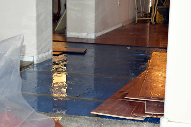Professional Burst Pipe Cleanup technician working in Darien, IL