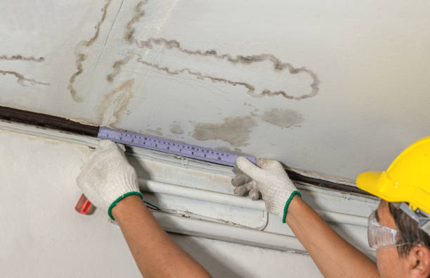 Reliable Burst Pipe Cleanup contractor in Darien, IL by Water Damage Irwin
